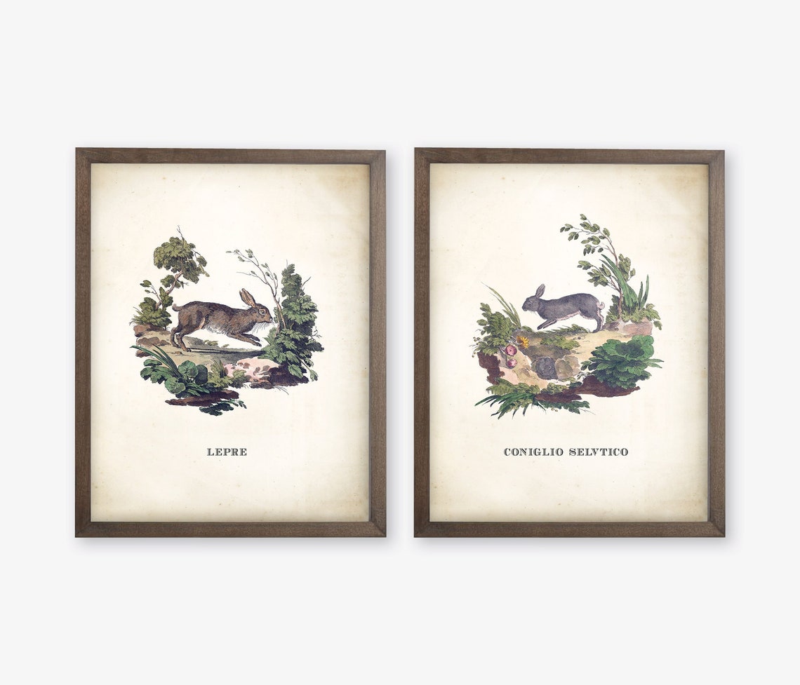 Vintage Bunny Nursery Print Set of 2. Rabbit Prints. Bunny Etsy