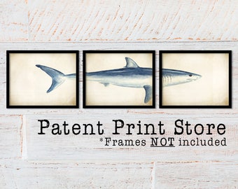 May include: Set of three vintage-style prints featuring a blue shark. The prints are framed in black and have a white background. The text "Patent Print Store" and "*Frames NOT included" is below the prints.
