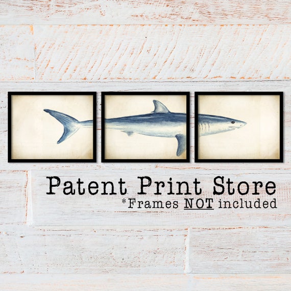Watercolor Shark Art Prints. Shark Decor. Shark Artwork. Shark Wall Art. Shark Triptych. Rustic Nautical Art. Nautical Prints. 108