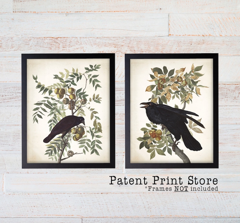 May include: Two framed vintage-style prints featuring black crows perched on branches with green leaves and yellow fruit. The prints have a cream-colored background and are set in black frames. The text "Patent Print Store" is at the bottom.