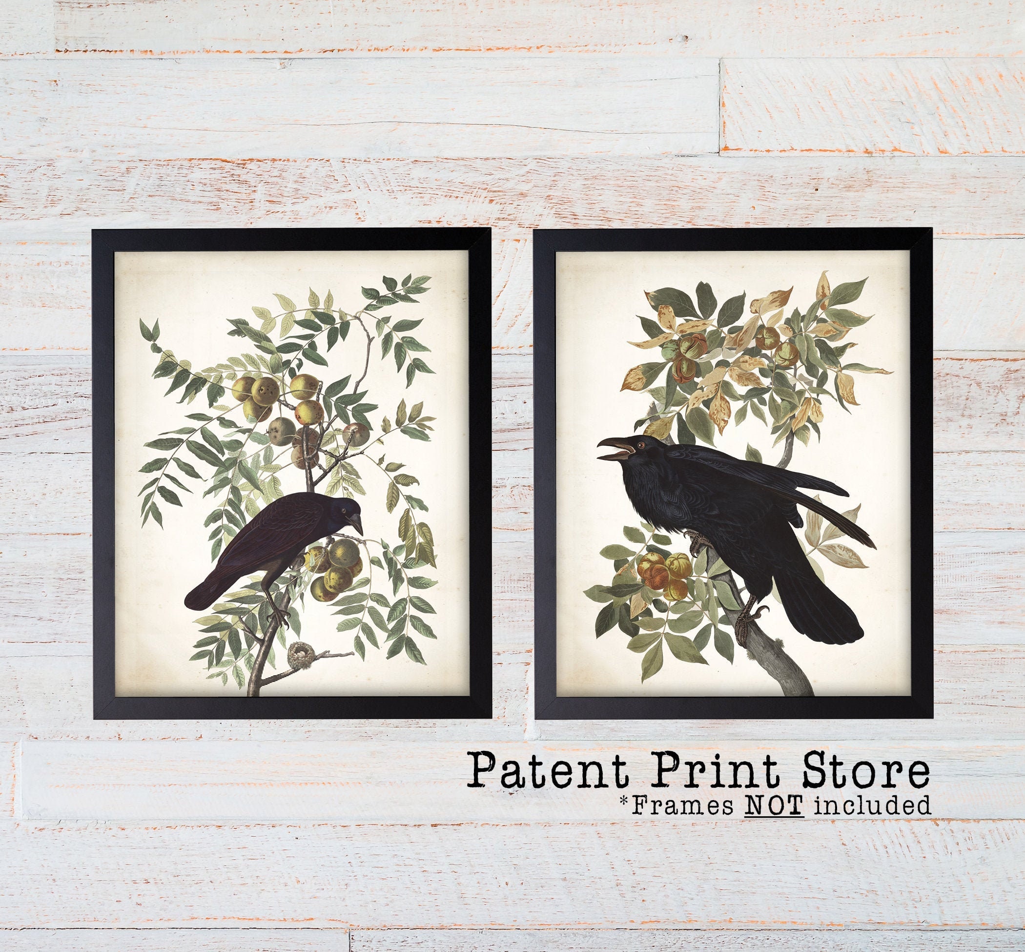 Black Birds Set. Audubon Crow and Raven Print Set -