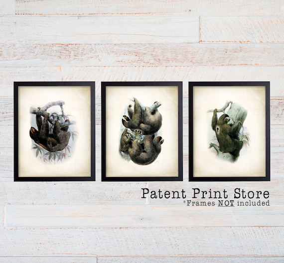Vintage Sloth Art. Sloth Wall Art. Sloth Gift. Natural History Art. Natural History Print. Natural History Poster. Sloth Art Print. 232
