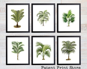 Palm Tree Botanical Print Set, Beach House Wall Art