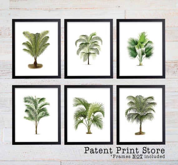Palm Tree Print Set. Palm Tree Art. Botanical Prints. Wall Art. Palm Tree Wall Art. Nautical Art. Botanical Print Set. Beach House Decor. 11