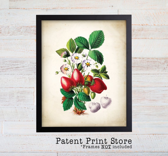 Strawberry Art Print. Strawberry Plant Print. Strawberries. Botanical Strawberry Art. Botanical Print. Strawberry Decor. Kitchen Decor. 162