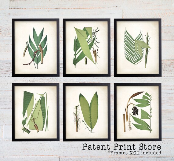 Palm Leaf Print. Palm Leaf Art. Botanical Prints. Wall Art. Tropical Leaf Prints. Nautical Art. Botanical Print Set, Palm Tree, Coastal. 142