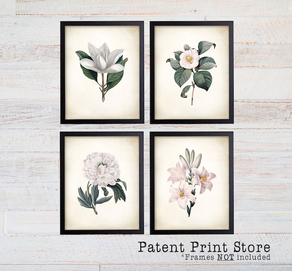 Redoute Botanical Print Set. White Flower Prints. Botanical Print. Art Print. White Flower Art. Posters. Dining Room Art. Bedroom Art. 290