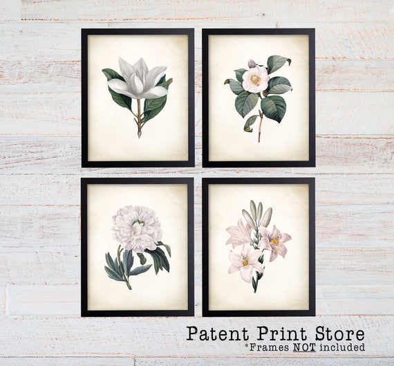 Redoute Botanical Print Set. White Flower Prints. Botanical Print. Art Print. White Flower Art. Posters. Dining Room Art. Bedroom Art. 290