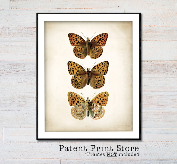 Antique Butterfly Print Poster, Antique Butterfly Art Print, Vintage Butterfly Print Wall Art, Butterflies Wall Art, Butterfly Decor