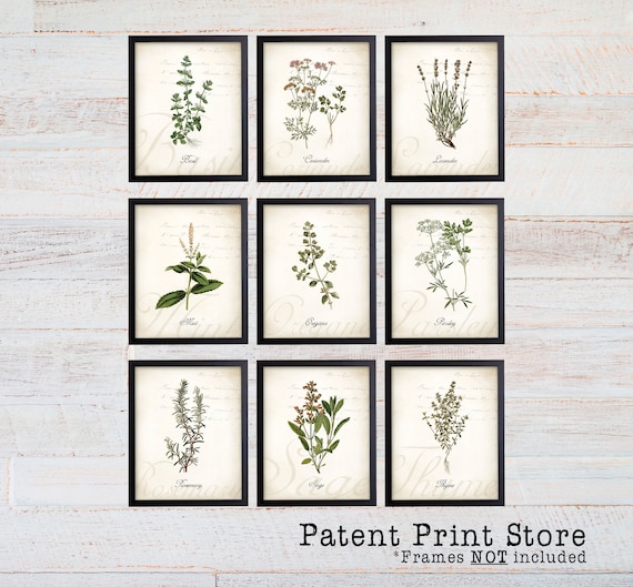 Vintage Herb Botanical Art Prints. Herb Prints. Herb Art. Herb Signs. Botanical Prints. Kitchen Decor. Kitchen Art. Kitchen Prints. 285