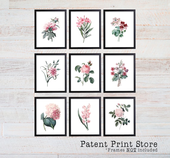 Vintage Redoute Botanical Art Prints. Pink Flower Prints. Botanical Prints. Flower Wall Art. Floral Art. Botanical Wall Art. Farmhouse. 253