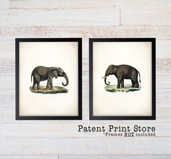 Elephants Print Set. Wall Art Print. Antique Elephant Print. Elephant Illustration. Safari Animal Prints. Office. Livingroom. Farmhouse. 132