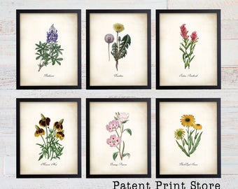 Texas Wildflower Botanical Art Prints. Botanical Print. Wildflower Print. Botanical poster. Botanical Illustration. Botanical Art. Farmhouse