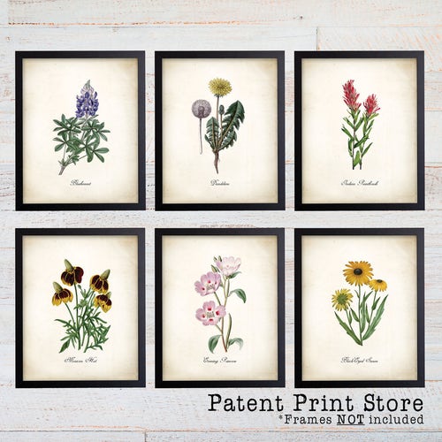 Prints Wall Hangings Farmhouse wall art Wildflowers art print Meadow
