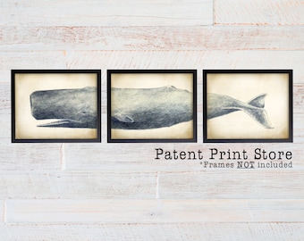 Sperm Whale Triptych Art Print, Nautical Nursery Decor