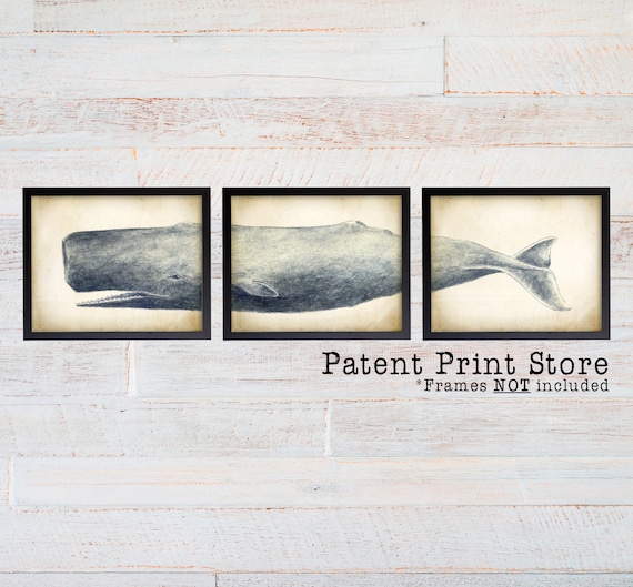 Sperm Whale Art Print. Whale Print. Sperm Whale Triptych. Sperm Whale Wall Art. Nautical Decor. Coastal Wall Art. Nautical Nursery.  228