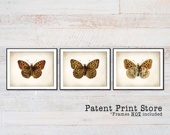 Antique Butterfly Art Print, Vintage Insect Wall Decor