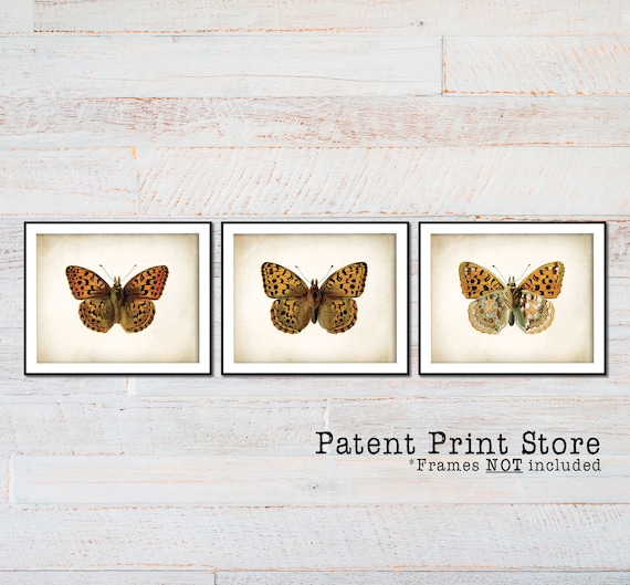 Antique Butterfly Print Poster, Antique Butterfly Art Print, Vintage Butterfly Print Wall Art, Butterflies Wall Art, Butterfly Decor