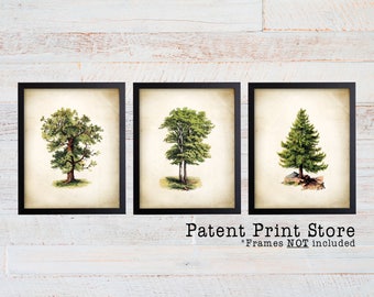 Vintage Botanical Tree Print Set, Green Home Decor