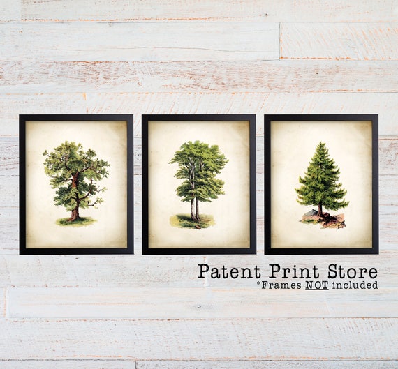 Vintage Tree Art Print Set. Tree Prints. Tree Wall Art. Green Home Decor. Vintage Botanical Art. Tree Posters. Vintage Botanical Prints. 304