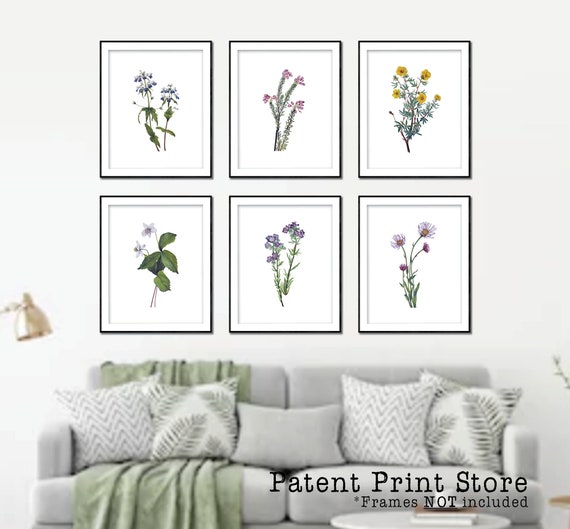 Vintage Wildflower Botanical Art Prints. Botanical Print. Wildflower Print. Botanical poster. Botanical Art. Farmhouse Art Prints. Flowers.