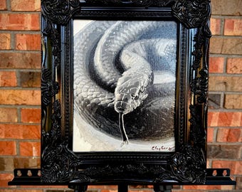 May include: A black and white painting of a coiled snake with its tongue extended, housed in a decorative black ornate frame. The artwork features visible brushstrokes and the artist's signature, Clayberg, in the bottom right corner of the canvas.