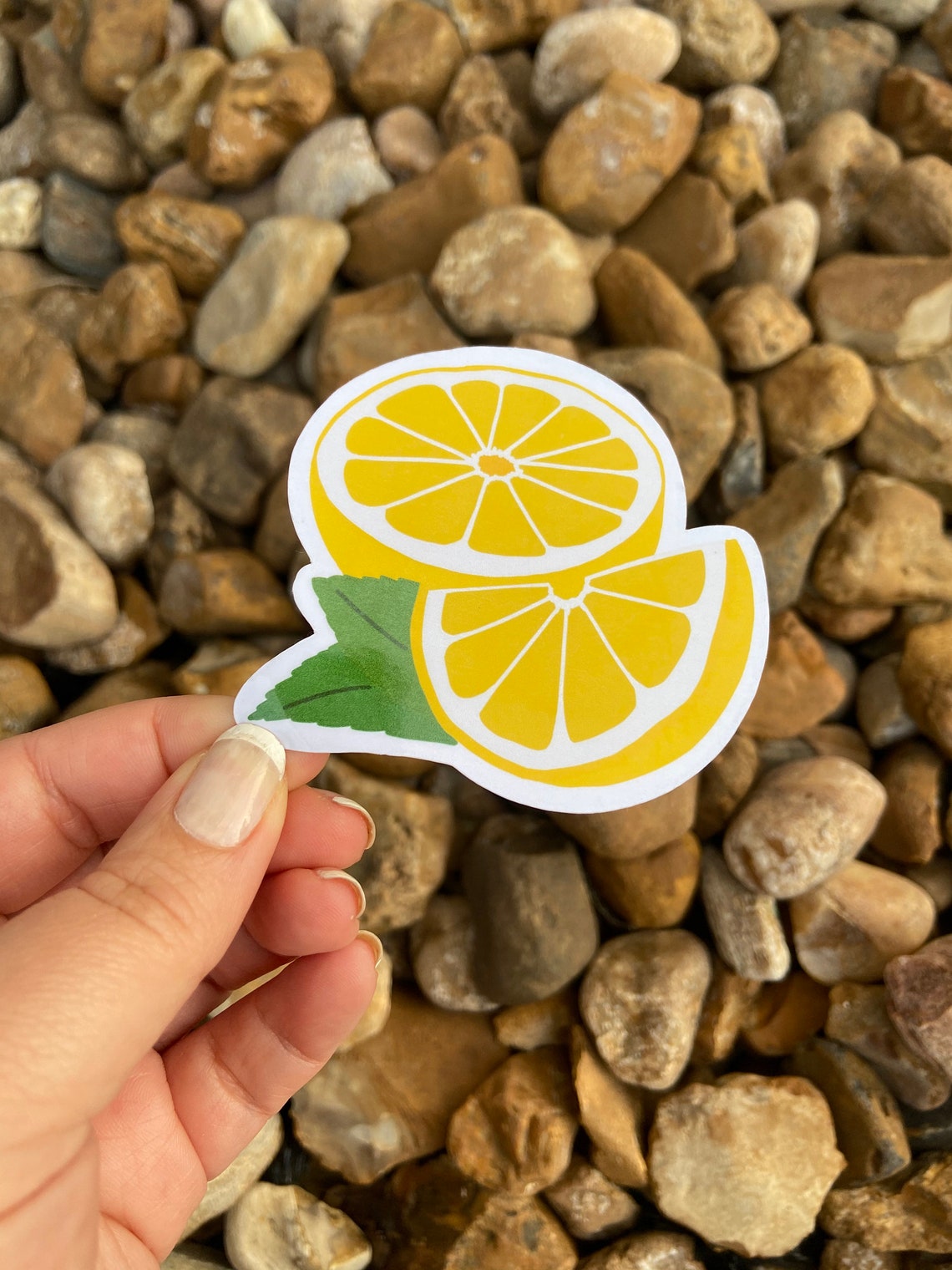 Lemon vinyl water proof sticker for hydroflask or laptop Etsy