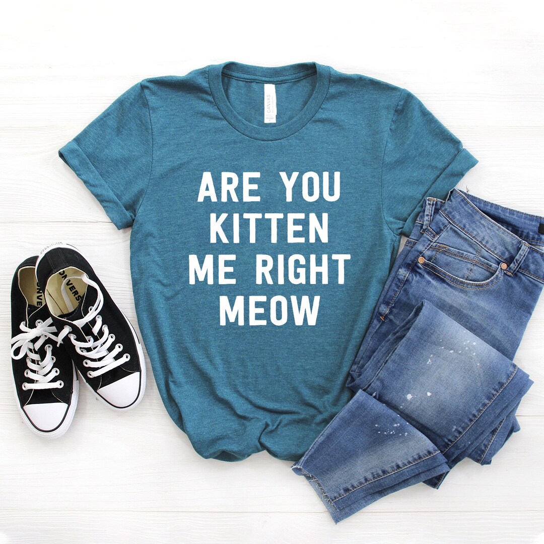 Are You Kitten Me Right Now Shirt Cat Mom Shirt Cat Lover - Etsy