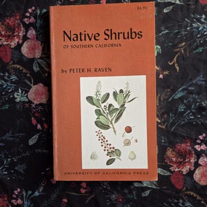 May include: An orange book titled "Native Shrubs of Southern California" by Peter H. Raven. The cover features a botanical illustration of a plant with berries. The book is from the University of California Press.