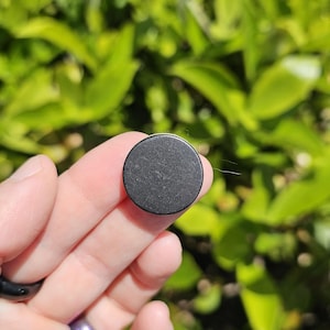 May include: A small, round, dark gray object with a textured surface. The object is held in a hand against a backdrop of green foliage. The object appears to be a button or a small disc.