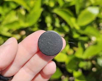 May include: A small, round, dark gray object with a textured surface. The object is held in a hand against a backdrop of green foliage. The object appears to be a button or a small disc.