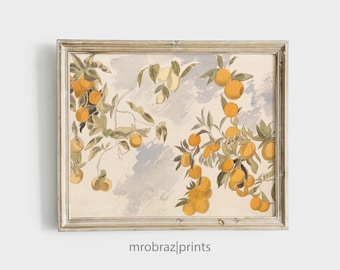 Vintage Summer French Kitchen, Oranges Fruit Print, Spring Lemon Tree, Printable Orange Tree Country Art Print