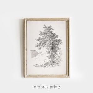 Vintage Tree Sketch, Tree Printable Art, Vintage Art Print, Neutral Tree Drawing, Landscape Scenery Print, Pencil Drawing