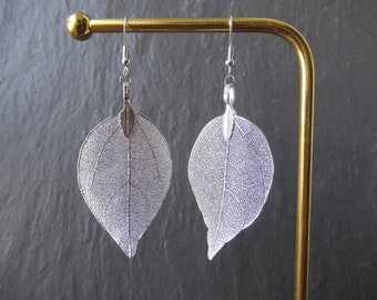 Real Leaf Skeleton Silver Plated Drop Earrings - Stainless Steel Hooks - Elegant Nature Jewellery UK