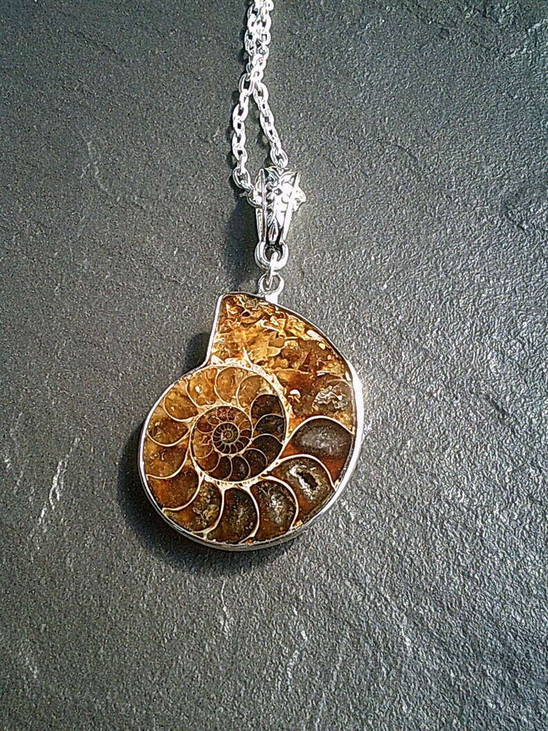 ammonite pendant ammonite pendant