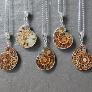 Real Ammonite Fossil Shell Pendant Silver Necklace, Nature-Inspired Jewelry, special occasion gifts, Unique Natural Stone Jewelry UK