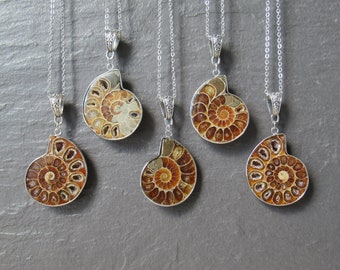 Real Ammonite Fossil Shell Pendant Silver Necklace, Nature-Inspired Jewelry, special occasion gifts, Unique Natural Stone Jewelry UK