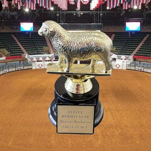 May include: A gold-toned trophy featuring a standing sheep figure mounted on a tiered black base. The base includes a rectangular plaque with the text: LITTLE RODEO STAR, Reserve Champion, FIRST PLACE. The trophy is centered against a rodeo arena.