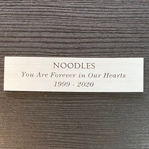 May include: A silver plaque with the text "NOODLES You Are Forever in Our Hearts 1999 - 2020" on a dark wood surface.