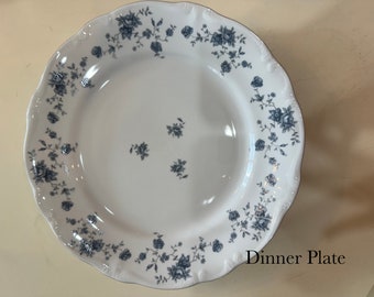 Blue Garland Bavaria Germany Johann Haviland replacement tea set cups saucer plates fine china porcelain