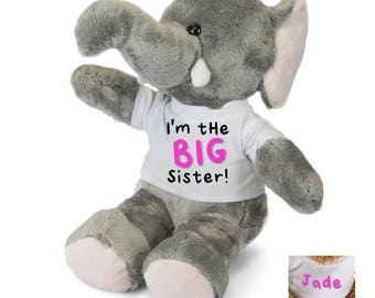 big brother soft toy