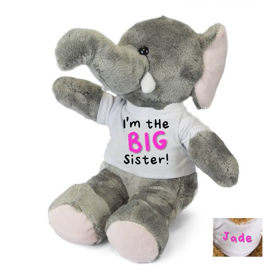 big sister little sister teddies