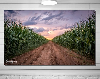 2061 Ideal Of Sweden Crystal Green Sky Front Range, Agriculture