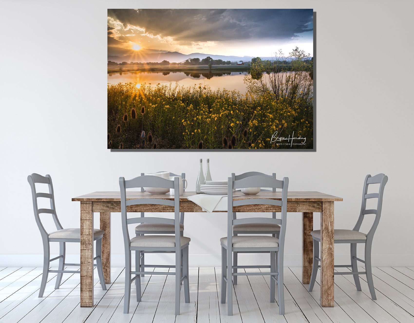 Front Range Colorado photo, Boulder County photo, Longmont, Niwot, summer photo, flowers, wall art, canvas