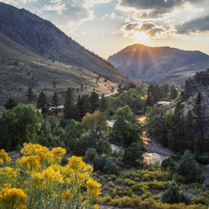 Poudre Canyon, Wild and Scenic, Fort Collins, Larimer County, Poudre River, Cache la Poudre, Rocky Mountains, Front Range, Colorado art