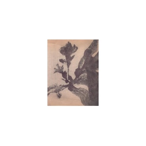 Puede incluir: Dibujo a tinta en blanco y negro de una rama de árbol con hojas. La obra de arte está sobre un fondo beige. La rama del árbol es gruesa y texturizada, con varias ramas y hojas más pequeñas. El estilo es abstracto y artístico.