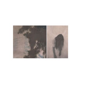 Small Prints Set of 2 , Monoprint Collection, Experimental Photography, Analog print on Dyed Paper, Abstract Nature Portrait