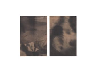 May include: Two abstract art prints. The prints are rectangular and feature a mix of dark and light brown tones. The left print has a more geometric feel, while the right print has a softer, more organic appearance.