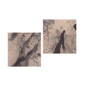 May include: Two square art prints featuring dark, ink-like silhouettes of tree branches and foliage against a muted, light beige background. The imagery displays organic, flowing shapes with varying levels of opacity, creating a layered, textured appearance that mimics traditional ink wash techniques on paper.