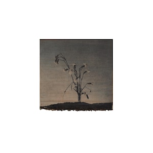 Puede incluir: Un tapiz textil cuadrado con un fondo degradado en tonos gris y marrón apagados. Una ilustración oscura, estilo silueta, de un grupo de flores silvestres delicadas con tallos finos y pequeñas flores está centrada, con un borde inferior con flecos.